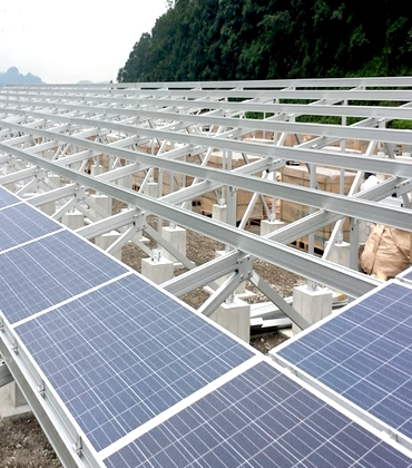 Why Choose Us Section